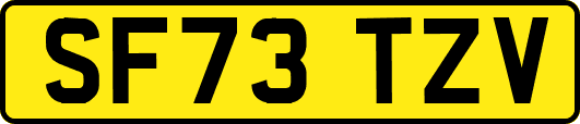 SF73TZV