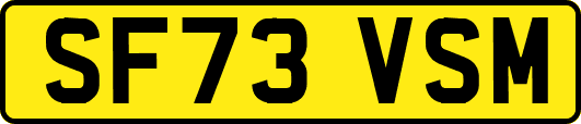 SF73VSM
