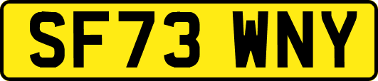 SF73WNY