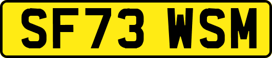 SF73WSM