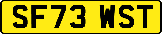 SF73WST