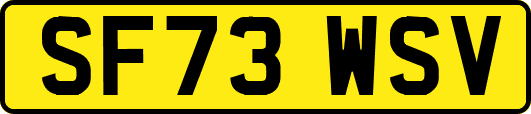 SF73WSV