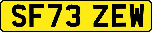 SF73ZEW