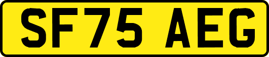 SF75AEG