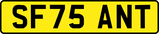 SF75ANT