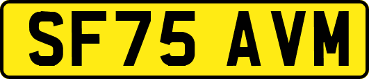 SF75AVM