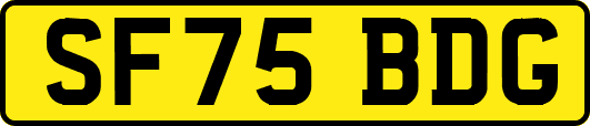SF75BDG