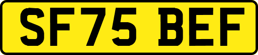 SF75BEF