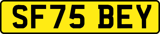 SF75BEY