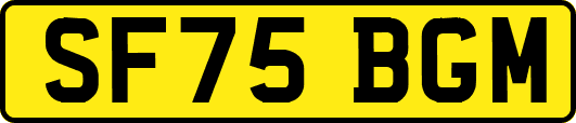 SF75BGM