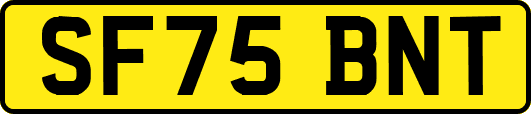 SF75BNT