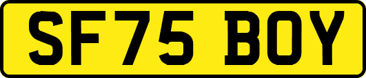 SF75BOY