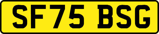 SF75BSG