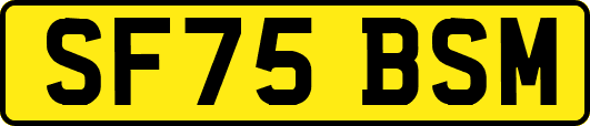 SF75BSM