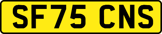 SF75CNS
