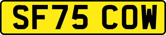 SF75COW