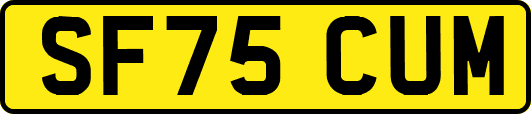 SF75CUM