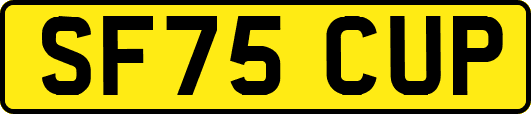 SF75CUP