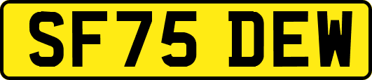 SF75DEW