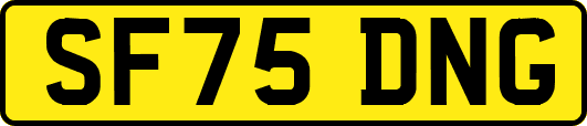 SF75DNG