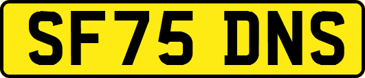 SF75DNS