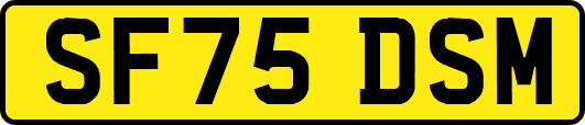 SF75DSM