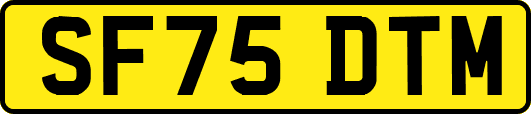 SF75DTM