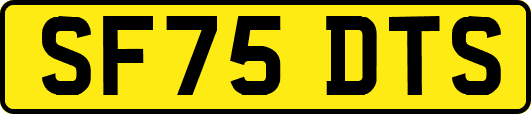 SF75DTS