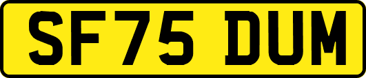 SF75DUM