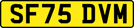 SF75DVM