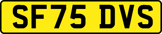 SF75DVS