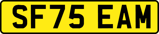 SF75EAM