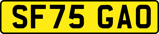 SF75GAO