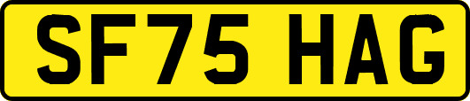 SF75HAG