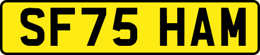 SF75HAM