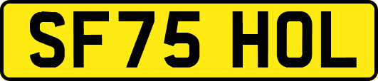 SF75HOL