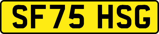 SF75HSG