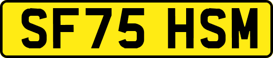 SF75HSM