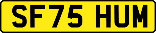 SF75HUM