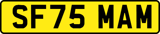 SF75MAM