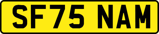 SF75NAM