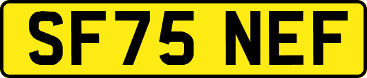 SF75NEF