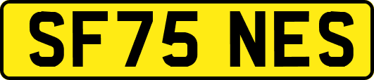 SF75NES