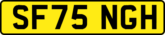 SF75NGH