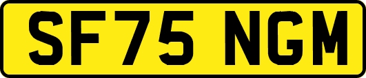 SF75NGM