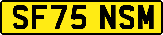 SF75NSM