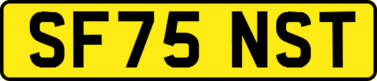 SF75NST