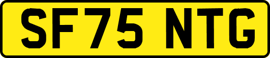 SF75NTG