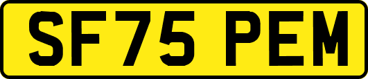 SF75PEM