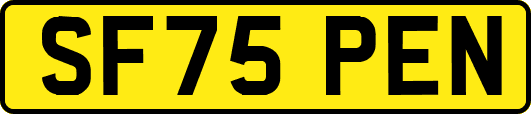 SF75PEN